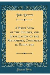 A Brief View of the Figures, and Explication of the Metaphors, Contained in Scripture (Classic Reprint)