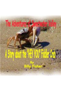 A Story of the 