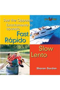 Rapido, Lento / Fast, Slow