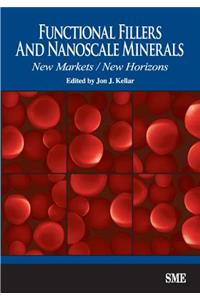 Functional Fillers and Nanoscale Minerals