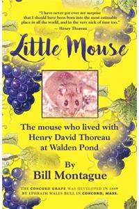 Little Mouse