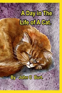 A Day in The Life of A Cat.