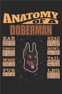 Anatomy Of A Doberman