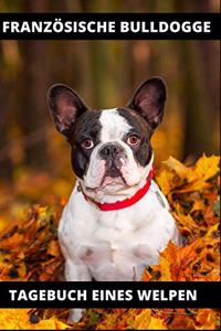 Französische Bulldogge Tagebuch eines Welpen