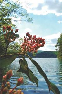 Water View Pretty Blank Lined Journal for daily thoughts notebook Lovely Lake Arrowhead Photograph