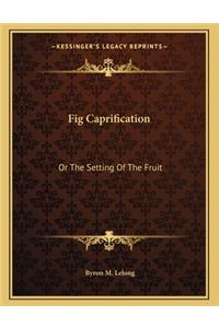 Fig Caprification