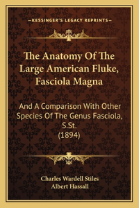The Anatomy Of The Large American Fluke, Fasciola Magna