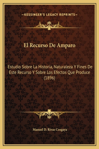 El Recurso De Amparo
