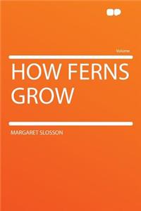 How Ferns Grow