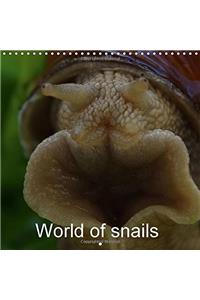 World of Snails 2018