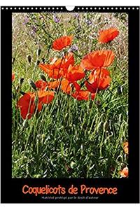 Coquelicots De Provence 2018