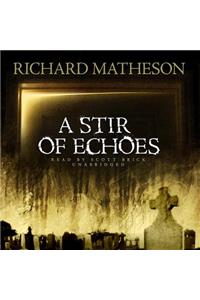 Stir of Echoes