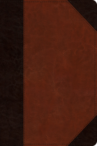 ESV Student Study Bible