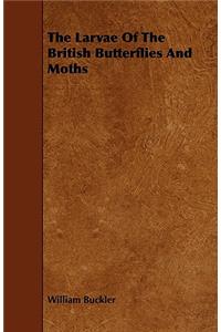 Larvae of the British Butterflies and Moths