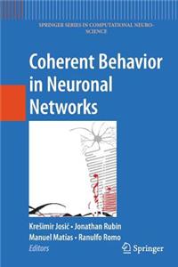 Coherent Behavior in Neuronal Networks