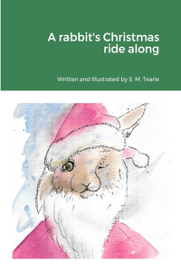 rabbit's Christmas ride along