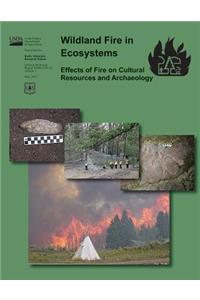 Wildland Fire in Ecosystems Effects of Fire on Cultural Resources and Archaeology