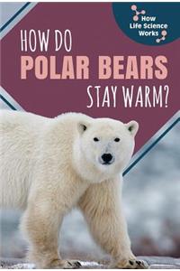 How Do Polar Bears Stay Warm?