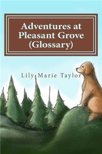 Adventures at Pleasant Grove (Glossary)