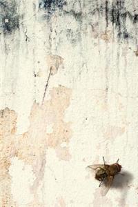 A Fly on the Wall Blank Book