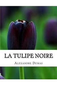 La tulipe noire