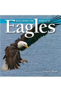 Exploring the World of Eagles