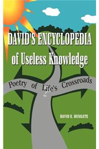 David's Encyclopedia of Useless Knowledge