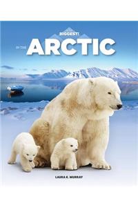In the Arctic