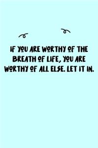 If you are worthy of the breath of life, you are worthy of all else. Let it in. Journal