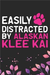 Easily Distracted by Alaskan Klee Kai