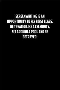 SCREENWRITING IS AN OPPORTUNITY TO FLY FIRST CLASS, BE TREATED LIKE A CELEBRITY, SIT AROUND A POOL ANd BE BETRAYED.