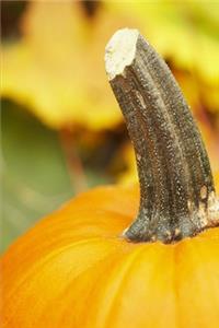 2020 Weekly Planner Autumn Design Fall Pumpkin 134 Pages