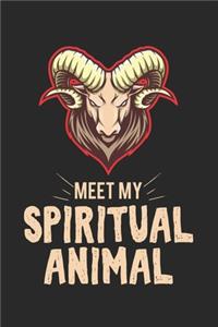 Meet my spiritual animal goat