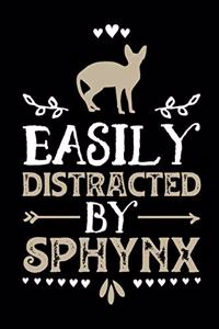 Easily Distracted By Sphynx