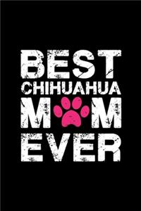 Best Chihuahua mom ever