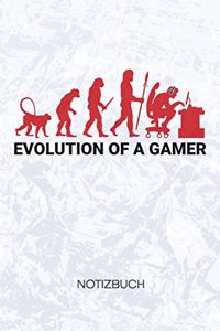 Evolution of a Gamer