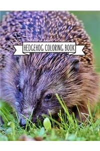 Hedgehog Coloring Book