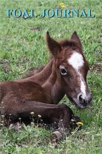 Foal Journal