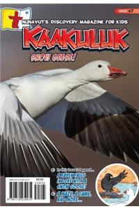 Kaakuluk: Snow Geese!