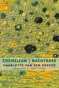 Chameleon / Nachtroer