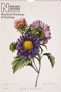 2018 Natural History Museum 2018 'Botanical'