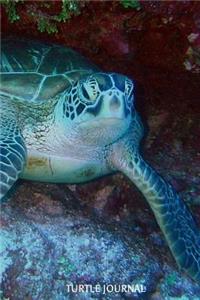 Turtle Journal