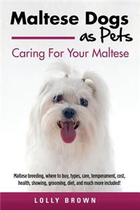 Maltese Dogs as Pets