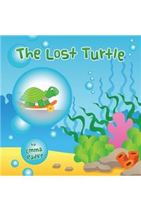Lost Turtle