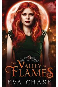 Valley of Flames