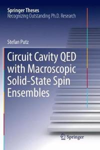 Circuit Cavity QED with Macroscopic Solid-State Spin Ensembles