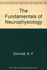 The Fundamentals of Neurophysiology