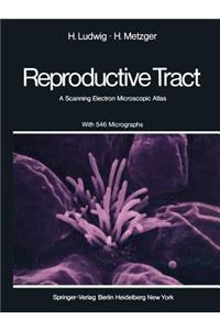 Human Female Reproductive Tract