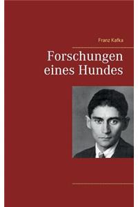 Forschungen eines Hundes