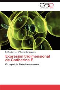 Expresion Tridimensional de Cadherina E